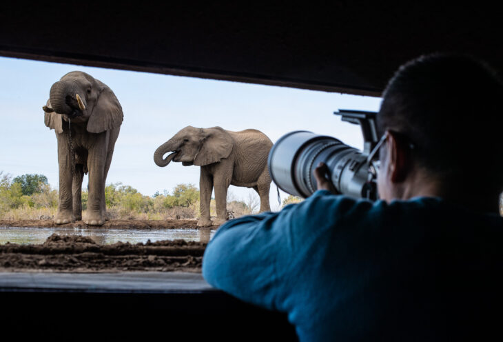Guest photographing an elephant in Botswana at Mashatu Game Reserve on tour with FROST Photo Tours