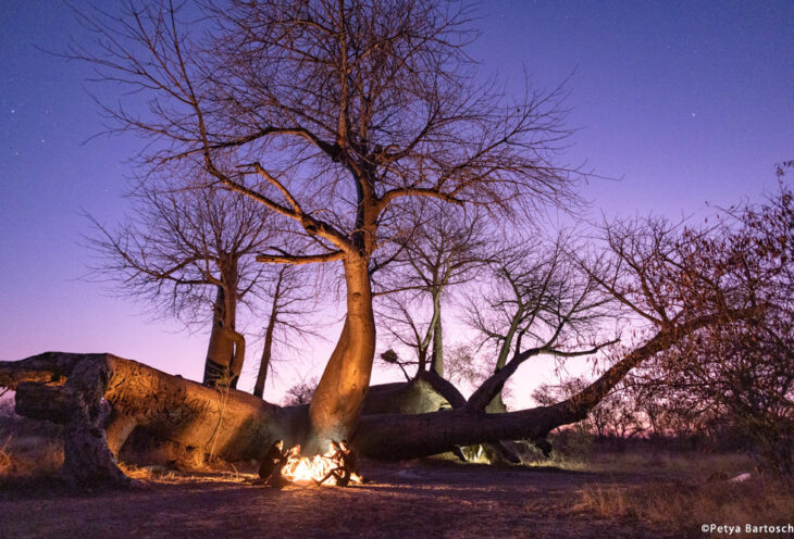Namibia San Bushmen Tour