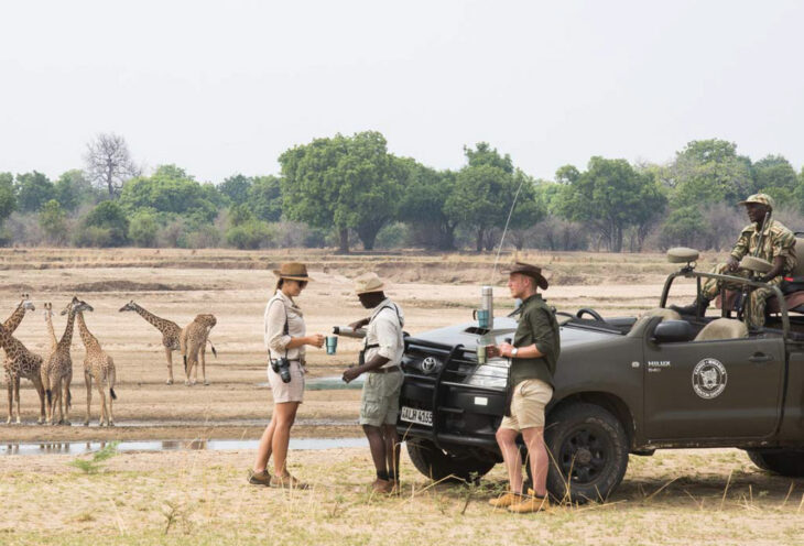 South Luangwa Zambia