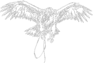 Eagle Hunter Photograph Tours sketch