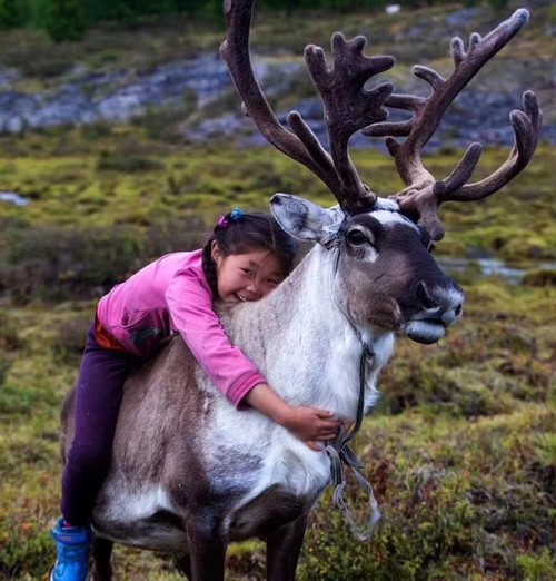 Reindeer_herder_Mongolia