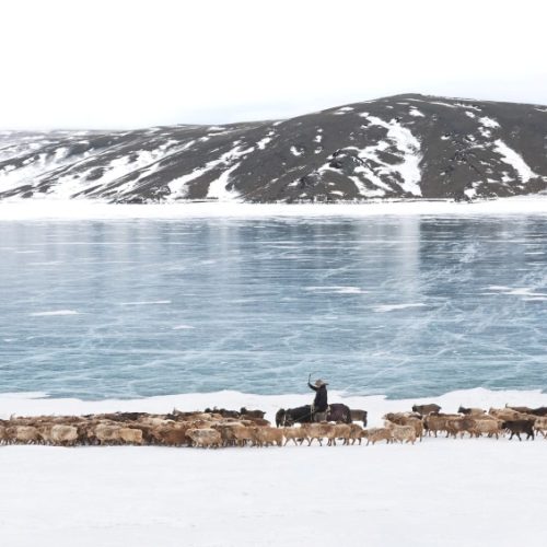 eagle_hunters_of_mongolia_in_winter_photography_tour_3