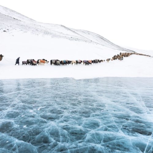 mongolia_kazakh_eagle_hunters_winter_photography_tour