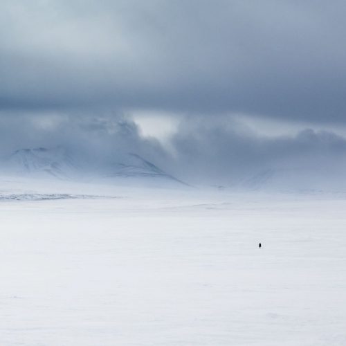 mongolia_winter_eagle_hunting_tradition_photo_tour